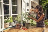 GARDENA Kräuterschere-Set „Fresh Cut“, 4-teilig 12 GARDENA Kräuterschere-Set „Fresh Cut“, 4-teilig – Bild 10