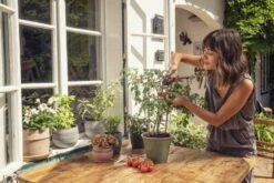 GARDENA Kräuterschere-Set „Fresh Cut“, 4-teilig 16 GARDENA Kräuterschere-Set „Fresh Cut“, 4-teilig -Garten- Und Outdoor-Geschäfte 301270 4 800x800