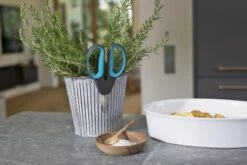 GARDENA Kräuterschere-Set „Herb Cut“, 2-teilig -Garten- Und Outdoor-Geschäfte 301272 6 800x800