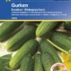 Einlegegurke Excelsior F1 | Einlegegurkensamen Von Kiepenkerl -Garten- Und Outdoor-Geschäfte 3508 Einlegegurke Excelsior F1