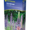 Düngelupinen - Großpackung (2 Kg) | Gründünger Von Kiepenkerl -Garten- Und Outdoor-Geschäfte 3600 Duengelupinen Grosspackung 2 kg 615052 0