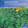 Sommerwicke (1 Kg) | Gründünger Von Kiepenkerl