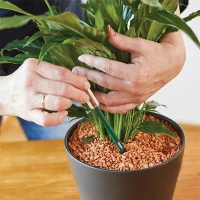 SERAMIS Gießanzeiger, Groß, 2 Stück 16 SERAMIS Gießanzeiger, Groß, 2 Stück – Bild 14