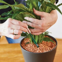 SERAMIS Gießanzeiger, Groß, 2 Stück 23 SERAMIS Gießanzeiger, Groß, 2 Stück -Garten- Und Outdoor-Geschäfte 4260376730369.pt05 800x800