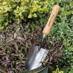 KENT & STOWE Handschaufel -Garten- Und Outdoor-Geschäfte 4260376732721.pt03 800x800