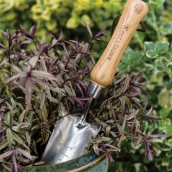 KENT & STOWE Pflanzschaufel -Garten- Und Outdoor-Geschäfte 4260376732769.pt03 800x800