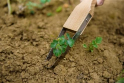 KENT & STOWE Unkrautschlinge -Garten- Und Outdoor-Geschäfte 4260376733278.pt03 800x800