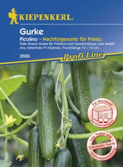 Neue Produkte -Garten- Und Outdoor-Geschäfte 528192 Gurke Picolino F1