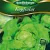 Kopfsalat Dynamite | Kopfsalatsamen Von Quedlinburger -Garten- Und Outdoor-Geschäfte 531924 Kopfsalat Dynamite von Quedlinburger Saatgu