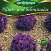Pflücksalat Jenny | Pflücksalatsamen Von Quedlinburger 1 Pflücksalat Jenny | Pflücksalatsamen Von Quedlinburger -Garten- Und Outdoor-Geschäfte 531925 Pfluecksalat Jenny von Quedlinburger Saatgu