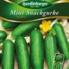 Mini-Snackgurken Picolino | Minigurkensamen Von Quedlinburger -Garten- Und Outdoor-Geschäfte 531946 Mini Snackgurken Picolino von Quedlinburger