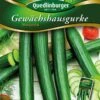 Gewächshausgurke Marumba F1 | Gurkensamen Von Quedlinburger -Garten- Und Outdoor-Geschäfte 531949 Gewaechshausgurken Marumba von Quedlinburge