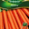 Möhre Flyaway | Möhrensamen Von Quedlinburger -Garten- Und Outdoor-Geschäfte 532005 Moehren Flyaway von Quedlinburger Saatgut