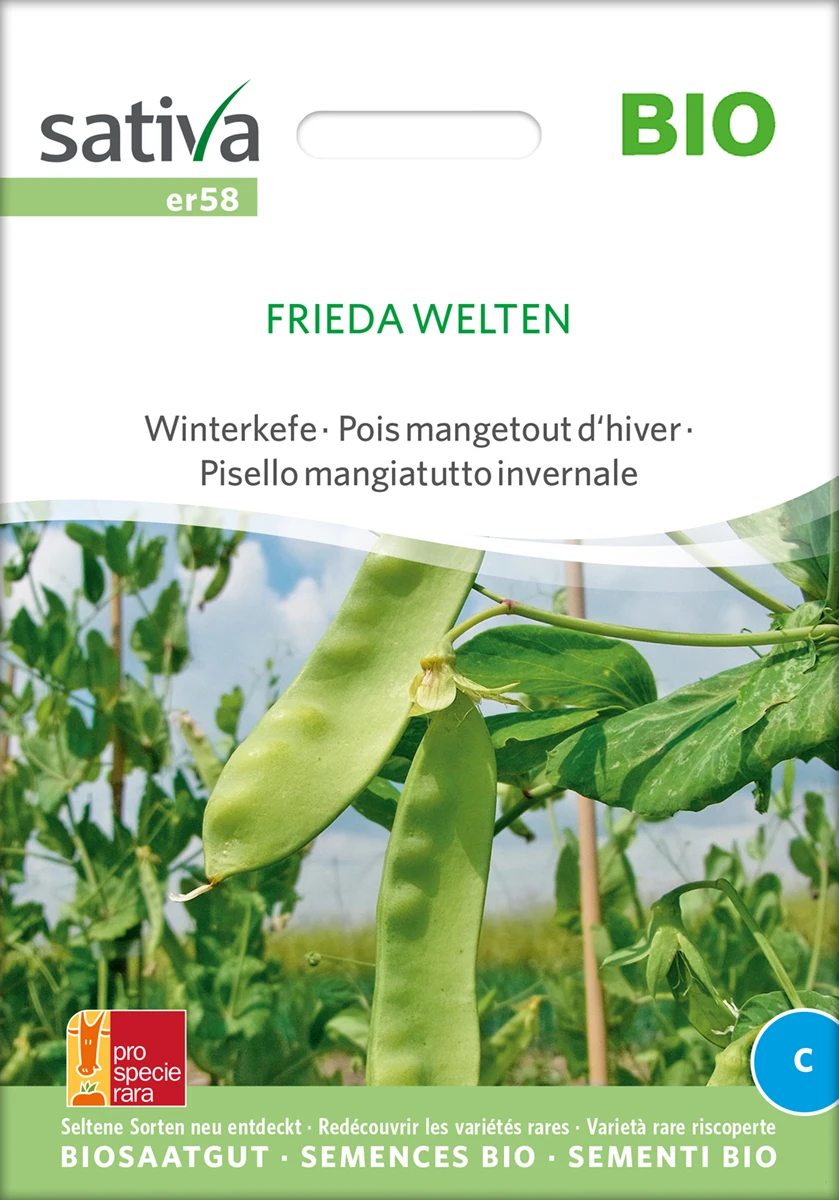 Zuckererbse Frieda Welten | BIO Zuckererbsensamen Von Sativa Rheinau 4 Zuckererbse Frieda Welten | BIO Zuckererbsensamen Von Sativa Rheinau – Bild 2