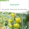 Cherrytomate Green Grape | BIO Kirschtomatensamenvon Sativa Rheinau -Garten- Und Outdoor-Geschäfte 534563 BIO Cherrytomate Green Grape to18 sr 0