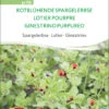 Spargelerbse Rotblühende Spargelerbse | BIO Erbsensamen Von Sativa Rheinau -Garten- Und Outdoor-Geschäfte 534629 BIO Spargelerbse Rotbluehende Spargelerbse er70 sr 0