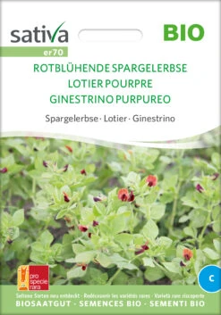 Spargelerbse Rotblühende Spargelerbse | BIO Erbsensamen Von Sativa Rheinau