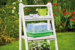 Gewächshaus M | Zimmergewächshaus Von Romberg -Garten- Und Outdoor-Geschäfte 535231 Gewaechshaus M 10094102 1