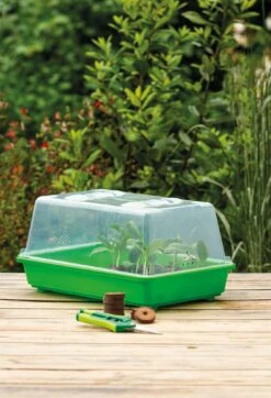 Gewächshaus M | Zimmergewächshaus Von Romberg -Garten- Und Outdoor-Geschäfte 535231 Gewaechshaus M 10094102 2