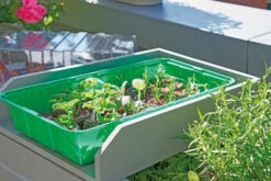 Anzuchthaus M PLUS | Mini-Gewächshaus Von Romberg -Garten- Und Outdoor-Geschäfte 535236 Anzuchthaus M PLUS 10094202 2