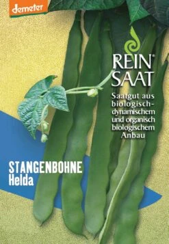 Stangenbohne Helda | BIO Stangenbohnensamen Von Reinsaat