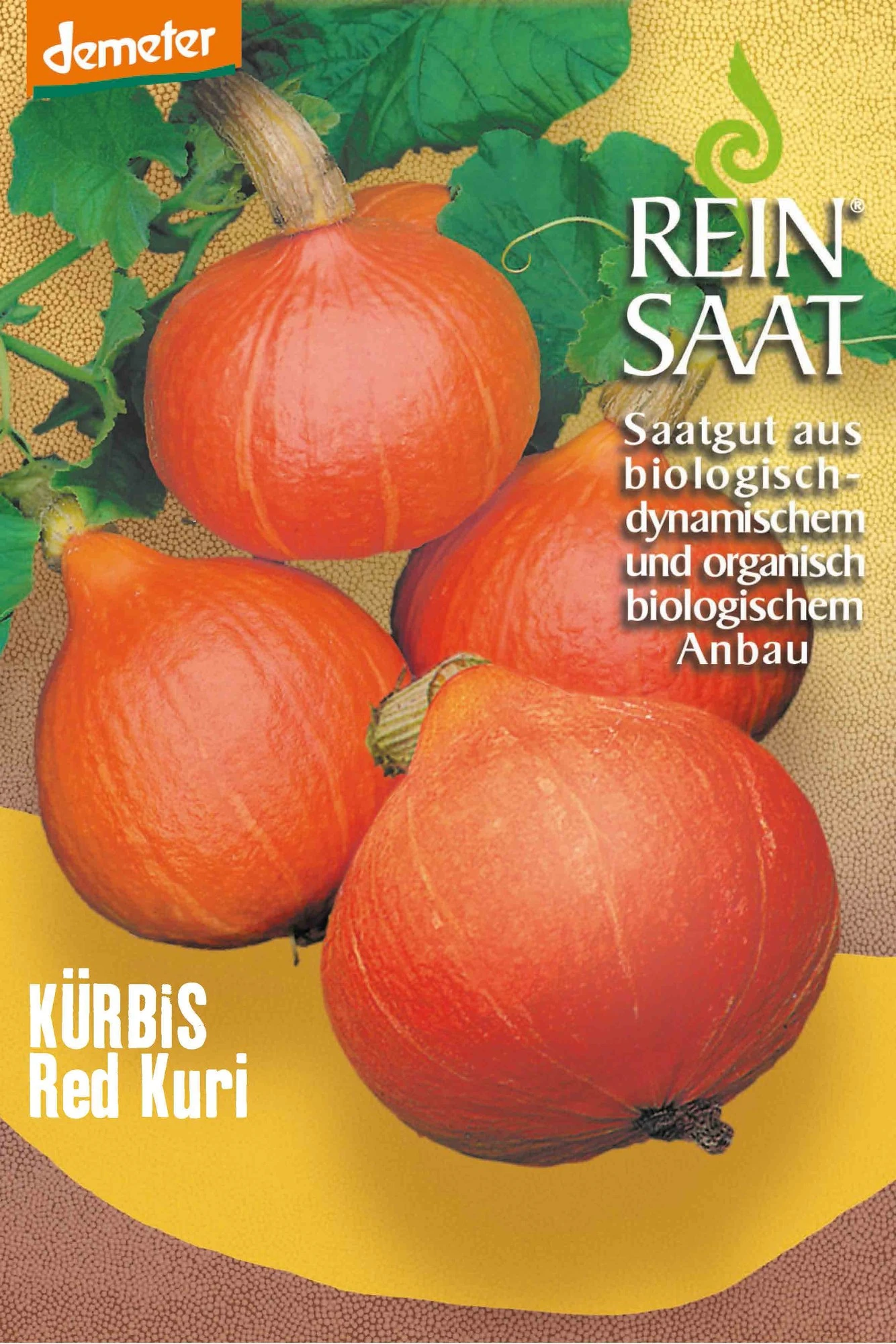 Kürbis Red Kuri | BIO Kürbissamen Von Reinsaat 3 Kürbis Red Kuri | BIO Kürbissamen Von Reinsaat