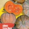 Kürbis Futsu Black | BIO Kürbissamen Von Reinsaat -Garten- Und Outdoor-Geschäfte 535750 BIO Kuerbis Futsu Black Kue24 rs 0