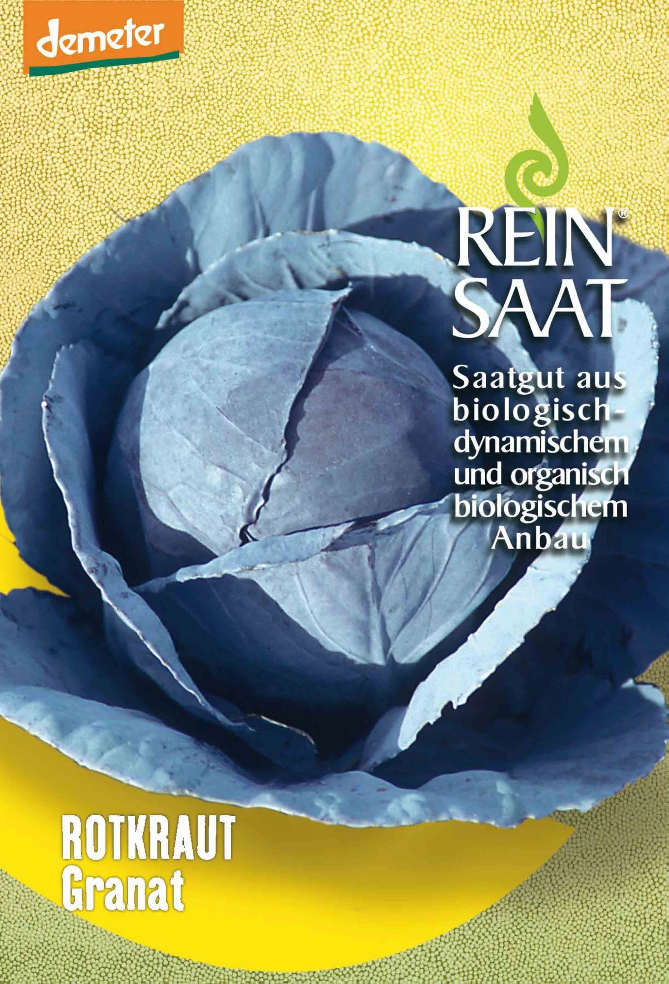 Rotkraut Granat | BIO Rotkohlsamen Von Reinsaat 3 Rotkraut Granat | BIO Rotkohlsamen Von Reinsaat