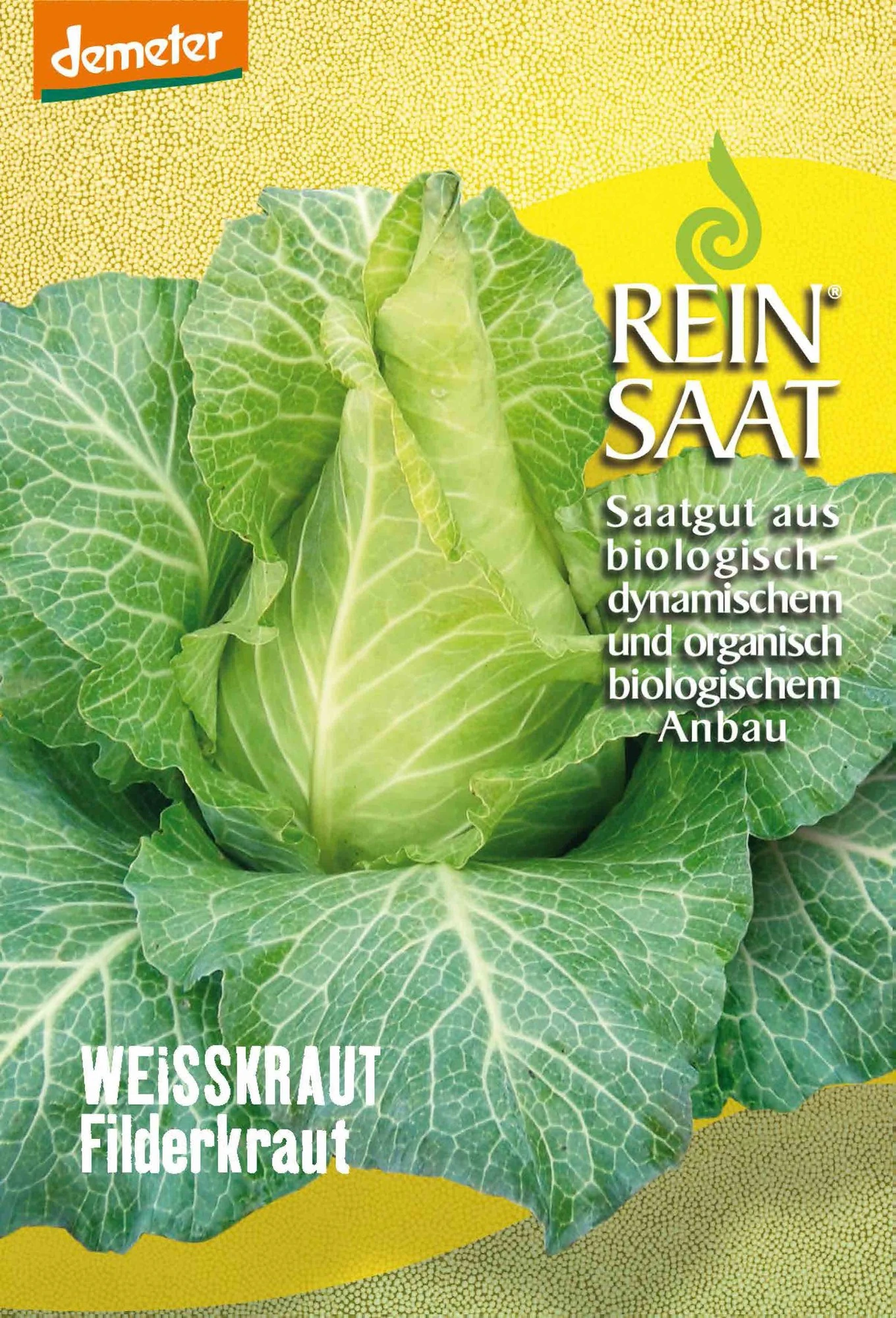 Weißkraut Filderkraut | BIO Weißkohlsamen Von Reinsaat 3 Weißkraut Filderkraut | BIO Weißkohlsamen Von Reinsaat