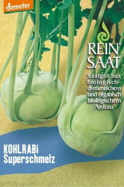 Kohlrabi Superschmelz | BIO Kohlrabisamen Von Reinsaat
