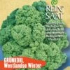 Grünkohl Westlandse Winter | BIO Grünkohlsamen Von Reinsaat -Garten- Und Outdoor-Geschäfte 535765 BIO Gruenkohl Westlandse Winter Ko28 rs 0