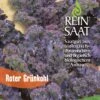 Grünkohl Roter Grünkohl | BIO Grünkohlsamen Von Reinsaat -Garten- Und Outdoor-Geschäfte 535766 BIO Gruenkohl Roter Gruenkohl CV100 rs 0