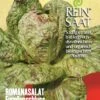 Romanasalat Forellenschluss | BIO Romanasalatsamen Von Reinsaat -Garten- Und Outdoor-Geschäfte 535827 BIO Romanasalat Forellenschluss Sa85 rs 0