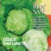 Eissalat Great Lakes | BIO Eissalatsamen Von Reinsaat -Garten- Und Outdoor-Geschäfte 535830 BIO Eissalat Great Lakes Sa22 rs 0