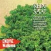 Endivie Wallonne | BIO Endiviensalatsamen Von Reinsaat -Garten- Und Outdoor-Geschäfte 535836 BIO Endivie Wallonne Sa41 rs 0