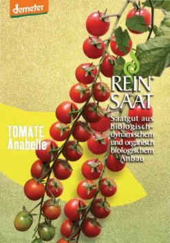 Cocktailtomate Anabelle | BIO Kirschtomatensamen Von Reinsaat