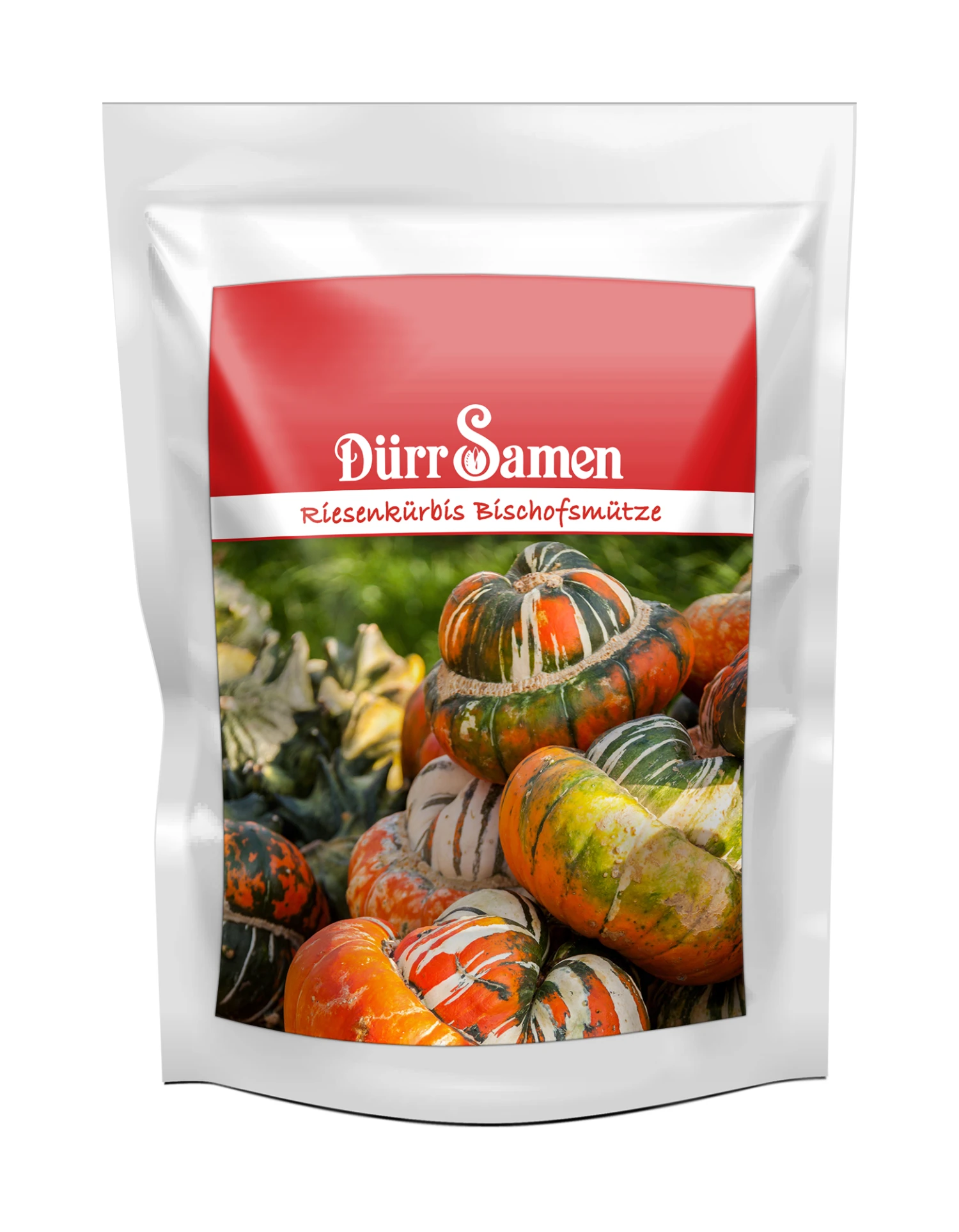 Riesenkürbis Bischofsmütze 100 Korn | Riesenkürbissamen Von Samenhaus 3 Riesenkürbis Bischofsmütze 100 Korn | Riesenkürbissamen Von Samenhaus