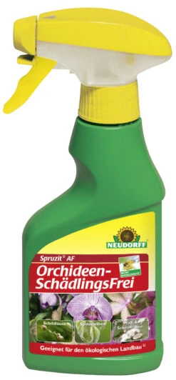 Spruzit AF OrchideenSchädlingsFrei (250 Ml) | Pflanzenschutz &amp; Dünger Von Neudorff