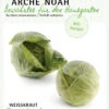 Weißkraut Oststeirerkraut | BIO Weisskrautsamen Von Arche Noah -Garten- Und Outdoor-Geschäfte 536997 Weisskraut Oststeirerkraut