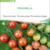 Cherrytomate Primabella | BIO Kirschtomatensamen Von Sativa Rheinau -Garten- Und Outdoor-Geschäfte 537129 BIO Cherrytomate Primabella to30 sr 0