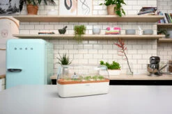 BoQube Gewächshaus & Pflanzkasten L Creme-kupfer | Zimmergewächshäuser Von Romberg 10 BoQube Gewächshaus & Pflanzkasten L Creme-kupfer | Zimmergewächshäuser Von Romberg -Garten- Und Outdoor-Geschäfte 539701 BoQube Gewaechshaus Farbe creme kupferg 7