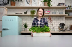 BoQube Gewächshaus & Pflanzkasten L Creme-kupfer | Zimmergewächshäuser Von Romberg 8 BoQube Gewächshaus & Pflanzkasten L Creme-kupfer | Zimmergewächshäuser Von Romberg -Garten- Und Outdoor-Geschäfte 539701 BoQube Gewaechshaus Farbe creme kupferg 8