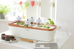 BoQube Gewächshaus & Pflanzkasten L Creme-kupfer | Zimmergewächshäuser Von Romberg 9 BoQube Gewächshaus & Pflanzkasten L Creme-kupfer | Zimmergewächshäuser Von Romberg -Garten- Und Outdoor-Geschäfte 539701 BoQube Gewaechshaus und Pflanzkasten L creme kupfer 2