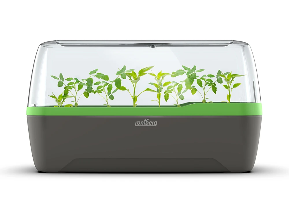 BoQube Gewächshaus & Pflanzkasten L Anthrazit-grün | Zimmergewächshäuser Von Romberg 3 BoQube Gewächshaus & Pflanzkasten L Anthrazit-grün | Zimmergewächshäuser Von Romberg