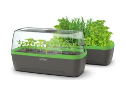 BoQube Gewächshaus & Pflanzkasten L Anthrazit-grün | Zimmergewächshäuser Von Romberg 18 BoQube Gewächshaus & Pflanzkasten L Anthrazit-grün | Zimmergewächshäuser Von Romberg -Garten- Und Outdoor-Geschäfte 539702 BoQube Gewaechshaus Farbe anthrazit gru 5