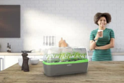 BoQube Gewächshaus & Pflanzkasten L Anthrazit-grün | Zimmergewächshäuser Von Romberg 20 BoQube Gewächshaus & Pflanzkasten L Anthrazit-grün | Zimmergewächshäuser Von Romberg -Garten- Und Outdoor-Geschäfte 539702 BoQube Gewaechshaus Farbe anthrazit gru 6