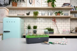 BoQube Gewächshaus & Pflanzkasten L Anthrazit-grün | Zimmergewächshäuser Von Romberg 21 BoQube Gewächshaus & Pflanzkasten L Anthrazit-grün | Zimmergewächshäuser Von Romberg -Garten- Und Outdoor-Geschäfte 539702 BoQube Gewaechshaus Farbe anthrazit gru 7