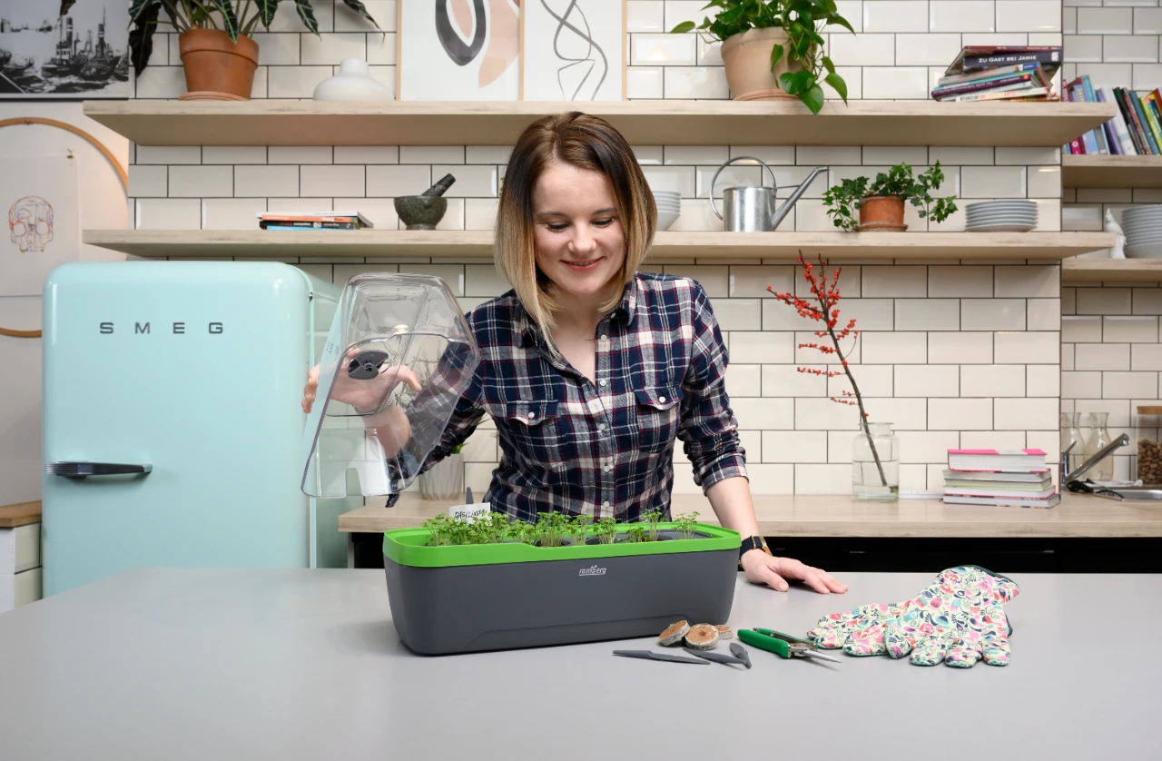 BoQube Gewächshaus & Pflanzkasten L Anthrazit-grün | Zimmergewächshäuser Von Romberg 7 BoQube Gewächshaus & Pflanzkasten L Anthrazit-grün | Zimmergewächshäuser Von Romberg – Bild 5