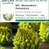 Blumenkohl Romanesco | BIO Blumenkohlsamen Von Saflax -Garten- Und Outdoor-Geschäfte 540111 Bio Blumenkohl Romanesco 18661 sa 0