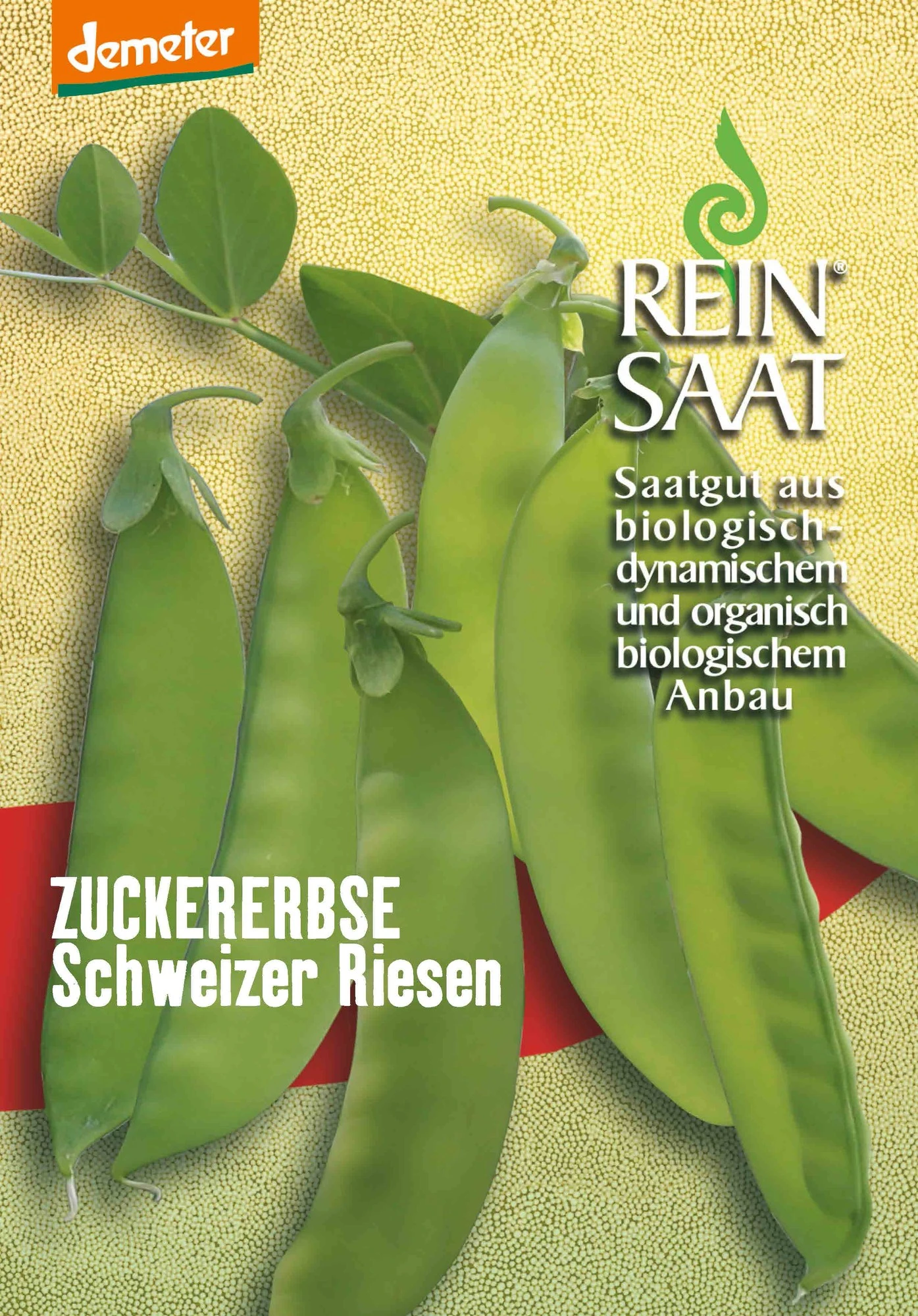 Zuckererbse Schweizer Riesen | BIO Zuckererbsensamen Von Reinsaat 3 Zuckererbse Schweizer Riesen | BIO Zuckererbsensamen Von Reinsaat